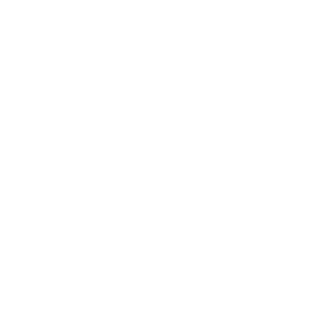 Torsido Logo